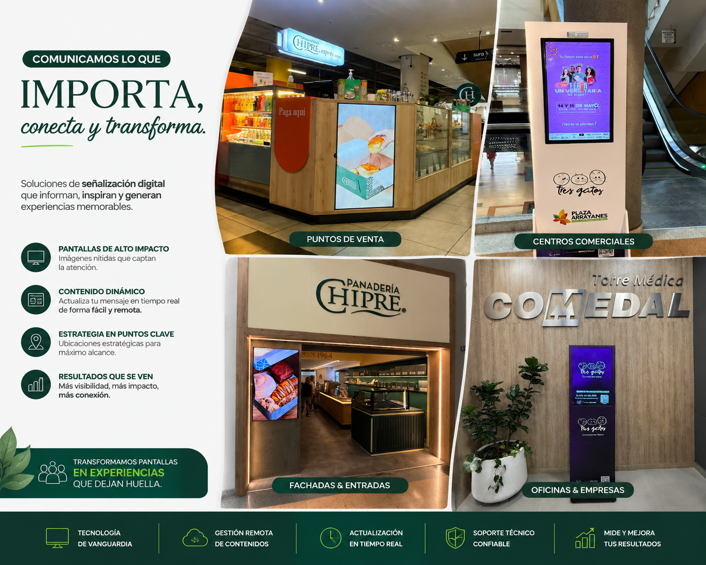 Presencia Comercial de Tres Gatos